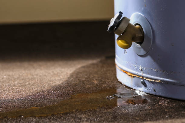 Best Local water damage restoration  in Walnut Grove, GA
