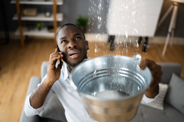 Best Flood restoration services  in Walnut Grove, GA
