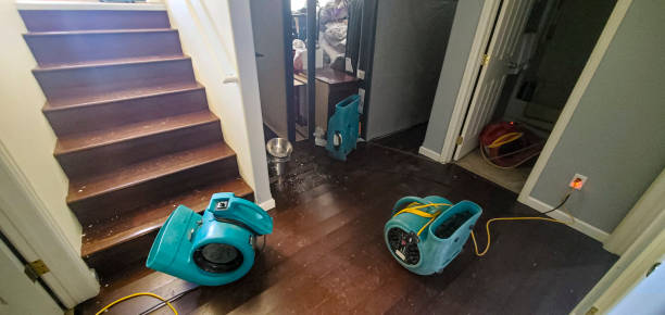Best Basement water damage restoration  in Walnut Grove, GA
