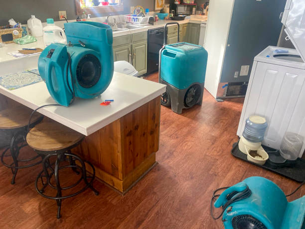 Best Carpet water damage restoration  in Walnut Grove, GA