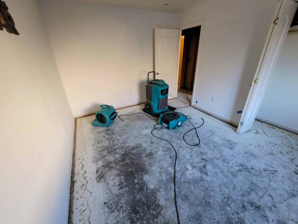 Reliable Walnut Grove, GA Water damage restoration Solutions