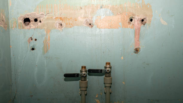 Best Water damage contractors near me  in Walnut Grove, GA